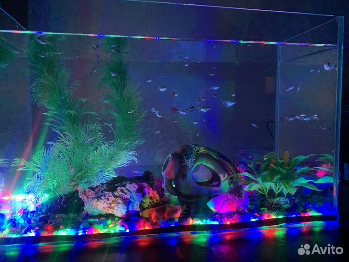 Аквариум с рыбками