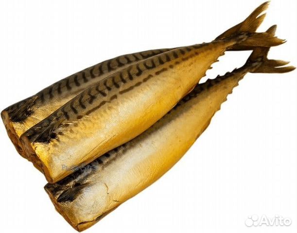 Скумбрия х/к