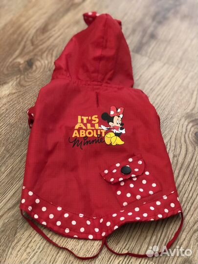 Плащ, поводок для малекой собаки, каркас лежанки