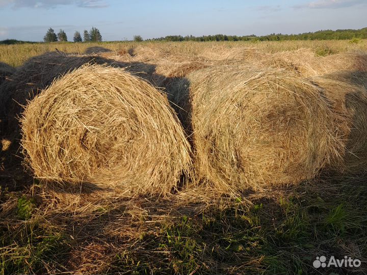 Сено Рулоны