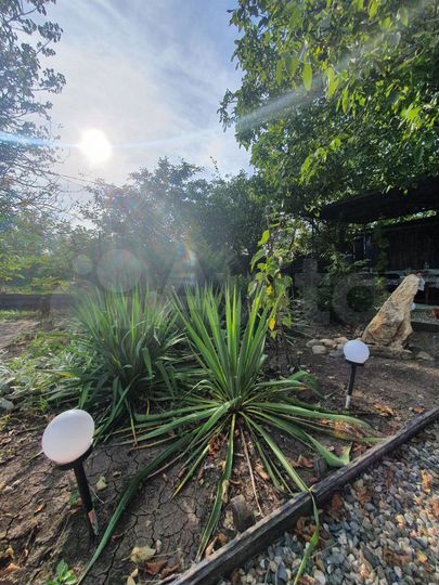 Участок 6 сот. (СНТ, ДНП)