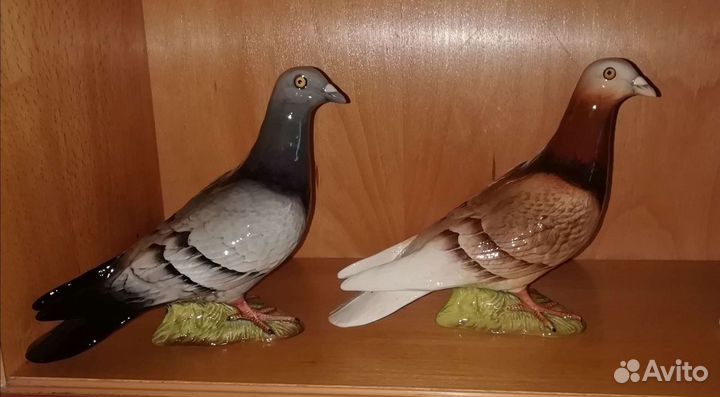 Почтовые Голуби. Большая коллекция
