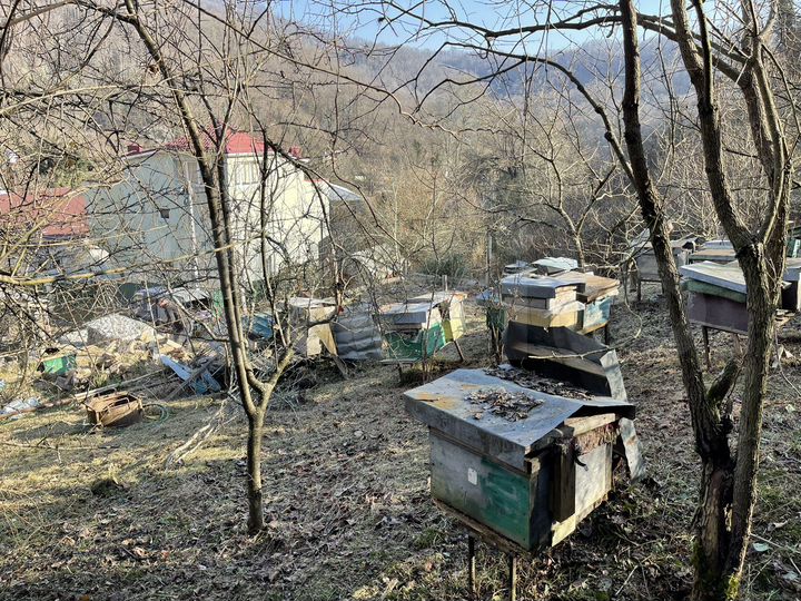 Участок 7 сот. (СНТ, ДНП)