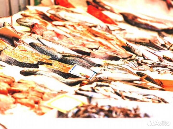 Магазин рыбы и морепродуктов