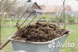 Продам навоз