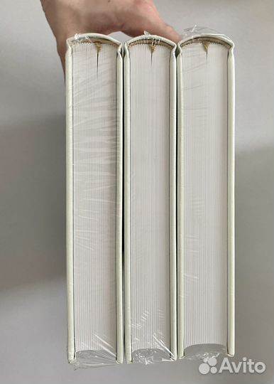 Вита Нова. Данте. Божественная комедия