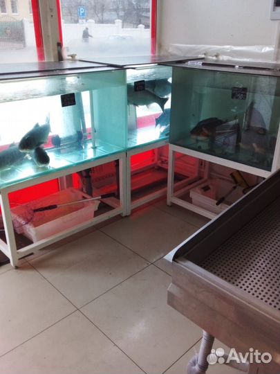 Аквариум 360 л