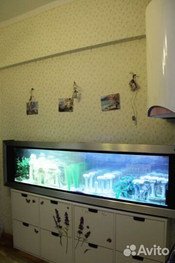 Аквариум Himat 240