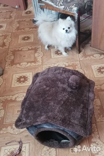 Домик для кошки или маленькой собачки