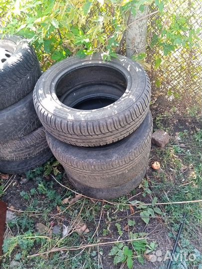 Accelera Accelera Summer 4.00/6 R6.5 24G