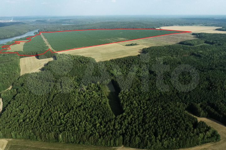 Участок 249,31 га (ИЖС)