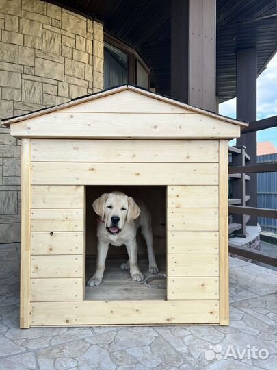 Будка для собаки с утеплением