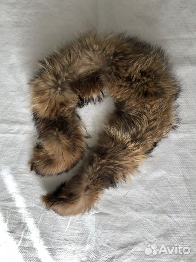 Новый меховой воротник енот