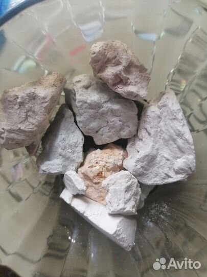 Красота и здоровье