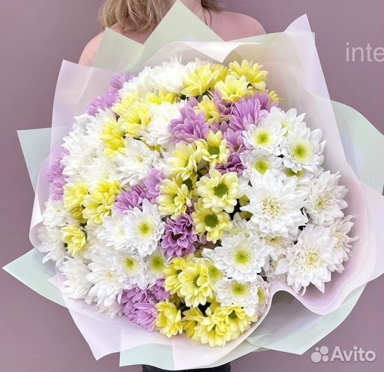 Хризантема Доставка цветов