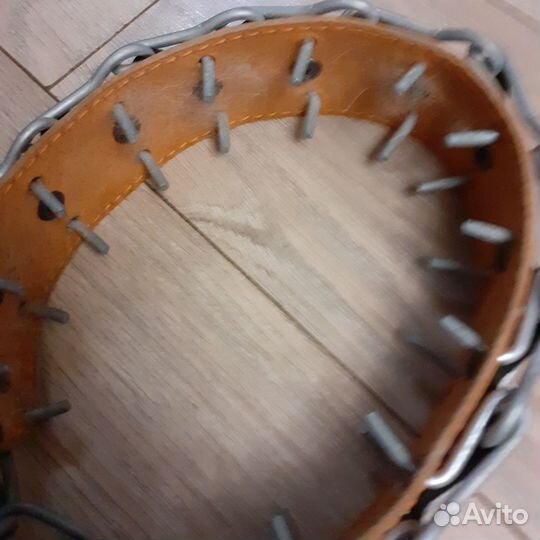 Строгий ошейник для собак