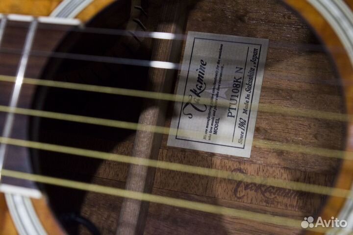 Электроакустика Takamine PTU-108KN. Кейс