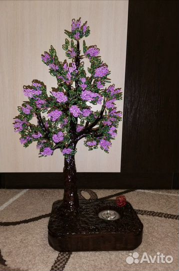 Сакура, Мимоза, Сирень