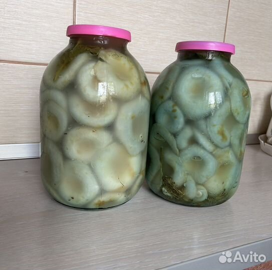 Груздь соленый