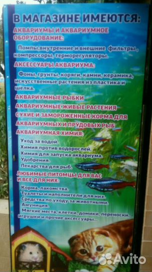 Аквариумные рыбки