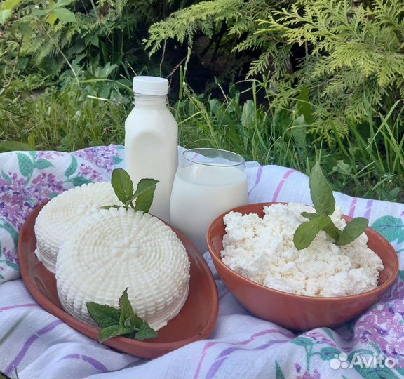 Картофель. Развоз 11.09.23. Продукты питания.Мед