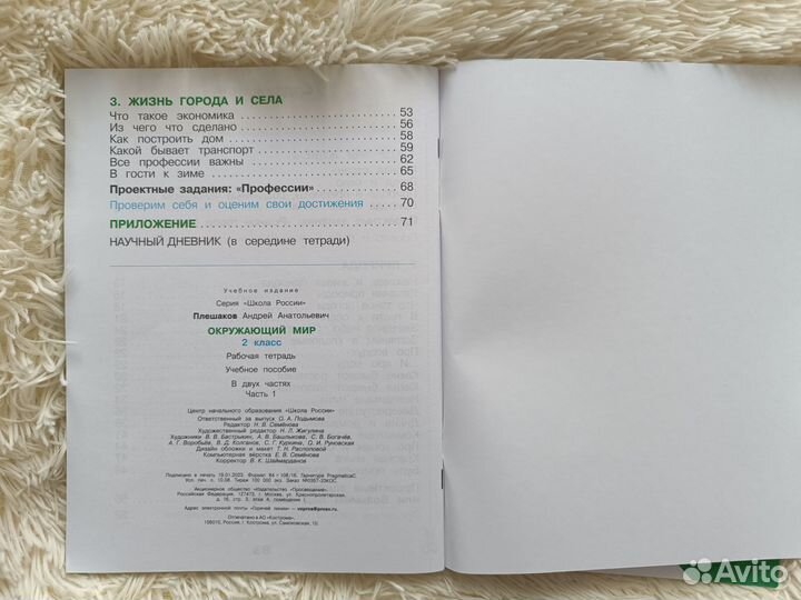 Рабочие тетради 2кл Плешаков