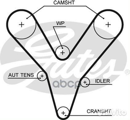5527XS ремень грм 176x280H Rover 45/75 2.0/2.5