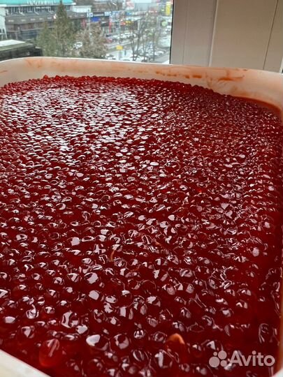 Икра красная кижуча