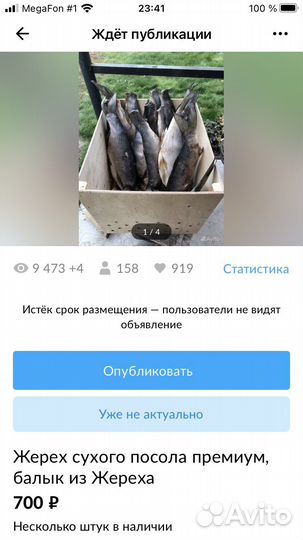 Жерех и Лещь сухого посола, балык из Жереха
