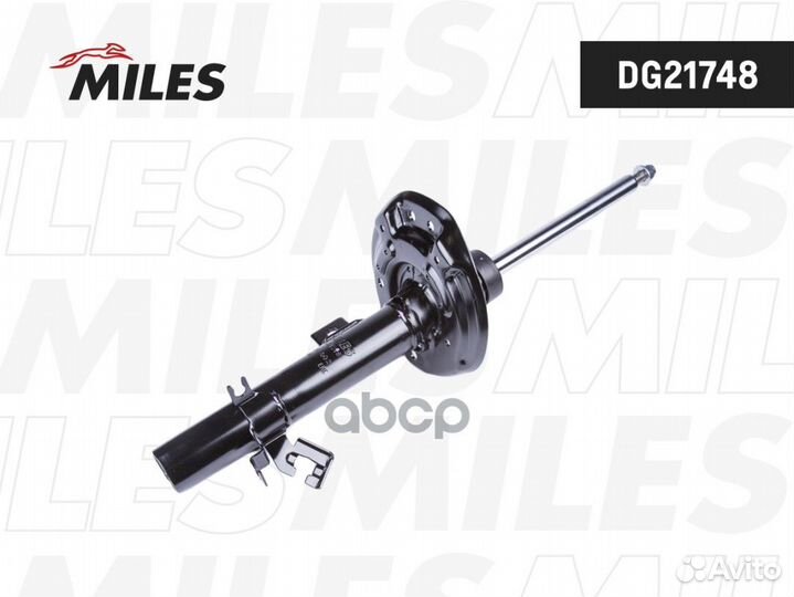 DG21748 DG21748 Miles