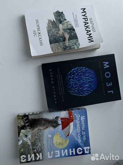 Книги. Цветы для элджернона; Норвежский лес; Мозг