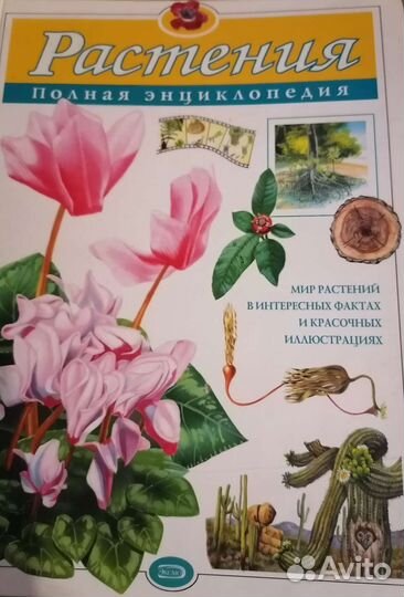 Детская энциклопедия эксмо