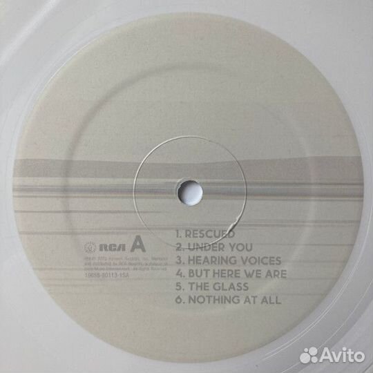 Виниловая пластинка Foo Fighters - But Here We Are