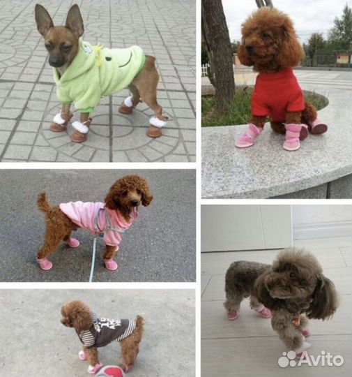 Сапожки для маленьких собак