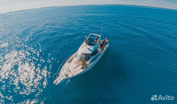 Морская рыбалка, прогулка