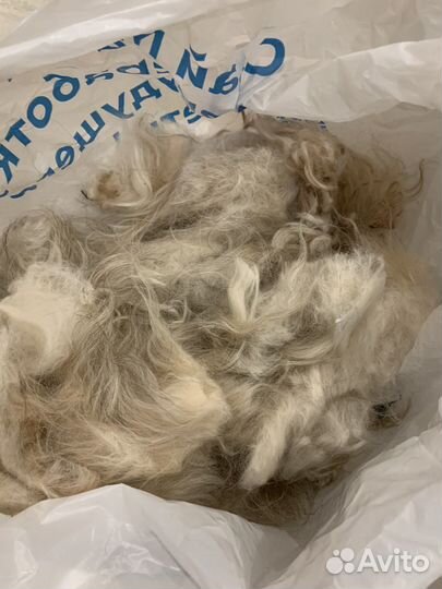 Собачья шерсть