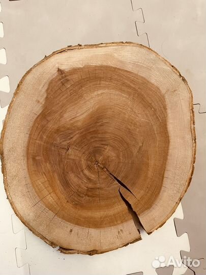 Спил карагача 40 см*5 см