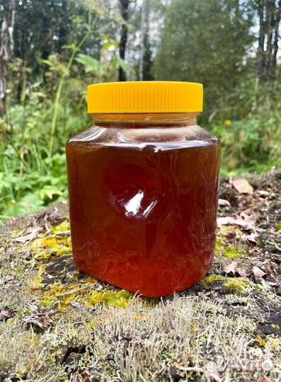 Мед Дягеливый (элитный сорт)