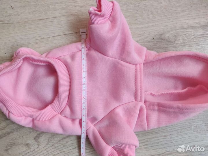 Одежда для собак