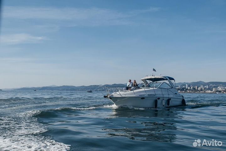 Аренда яхты,катера без посредников в Сочи
