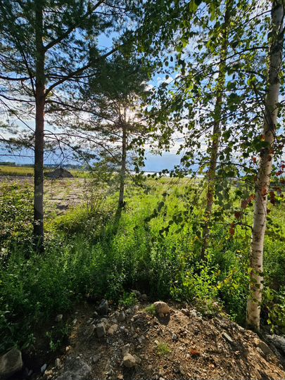 Дом 150 м² на участке 13 сот.