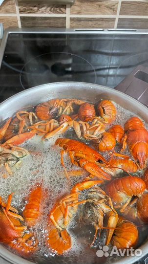 Живые раки и вареные