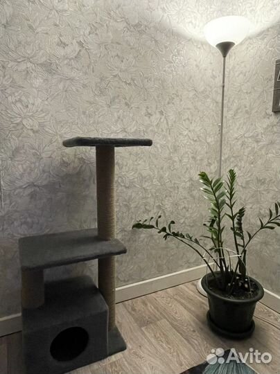 Домик когтеточка