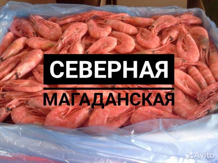 Креветка магаданская 60/80