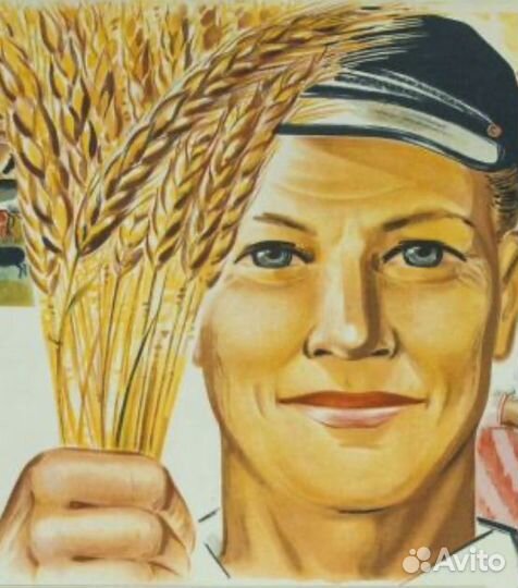 Грузчик-комплектовщик с ежедневными выплатами