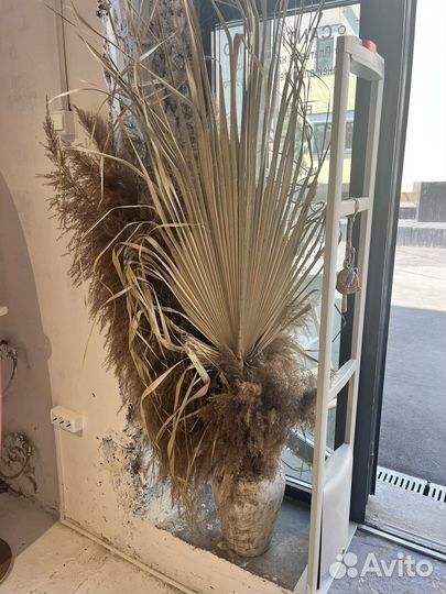 Помпасная трава комозиция в вазах сухоцветы