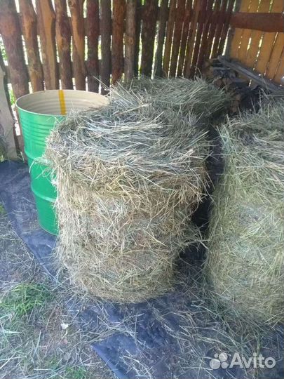 Сено в рулонах 2023