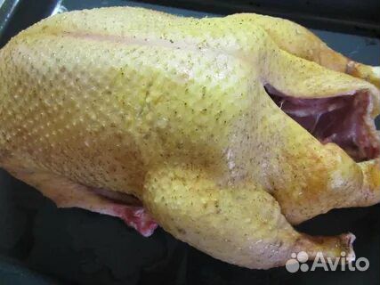 Мясо индоутки