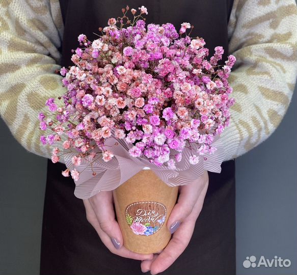 Цветы гипсофила