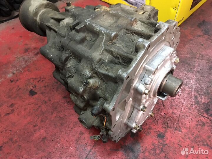 Раздатка Terrano